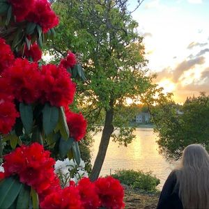 Meet your Posher, Soren